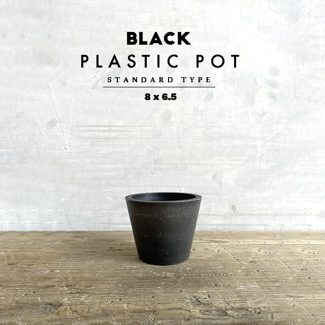 楽天市場】BLACK PLASTIC POT【STANDARD TYPE】8cm×6.5cm 黒 プラ鉢 3