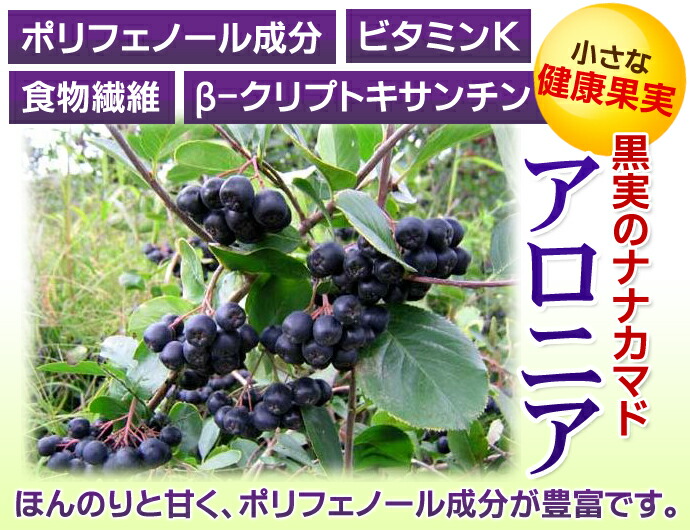 楽天市場】送料無料北海道産アロニア(冷凍果実) 1kg : 北海道四季工房