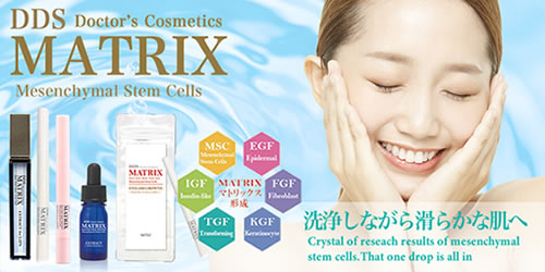 楽天市場】マトリックス ヘアカラージェル DDS MATRIX 75g : スケール