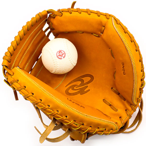 楽天市場】軟式キャッチャーミット / ドナイヤ キャッチャーミット 右