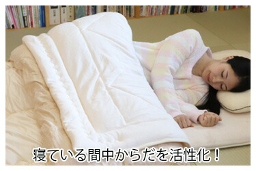 楽天市場】プラチナウェーブ 葵ダブルセット : トータルヘルスデザイン