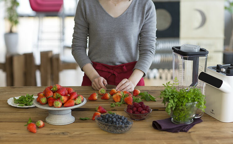 楽天市場】DUNNETTS ダネッツ PROFESSIONAL BLENDER