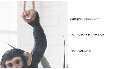 楽天市場】猿 サル モンキー おさるさん おサル かわいい 吊り下げ