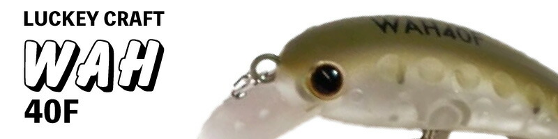 楽天市場】ラッキークラフト ワウ37HF ロデオクラフトカラー