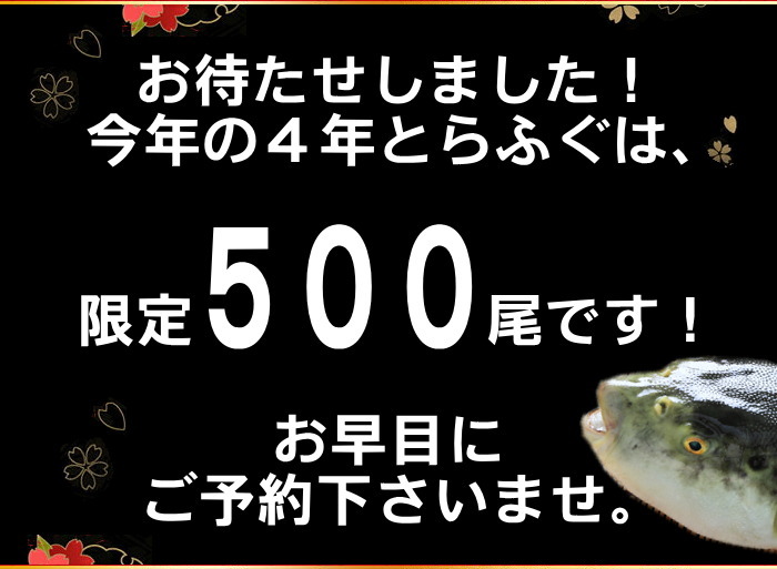 梅コース!!【4年もの！3年とらふぐ極】 ふぐ鍋セット（5－6人前）
