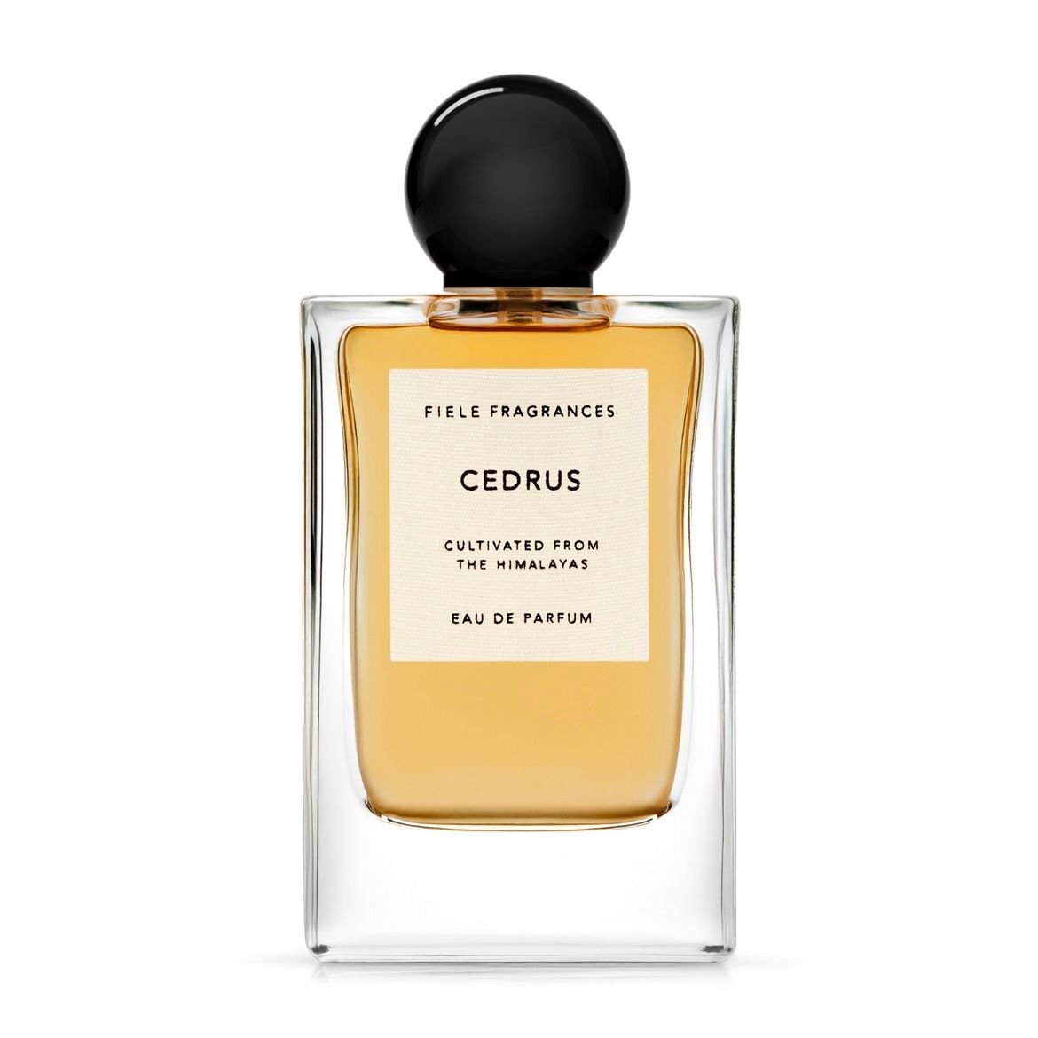 FIELE FRAGRANCES - 【残りわずか】Eau De Parfum 50ml(MENTHA