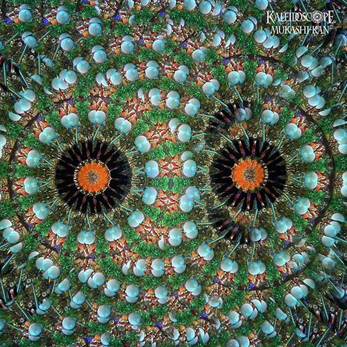 オイルチェンバースコープ]Handheld_Maple : Mark & Carole Reynolds