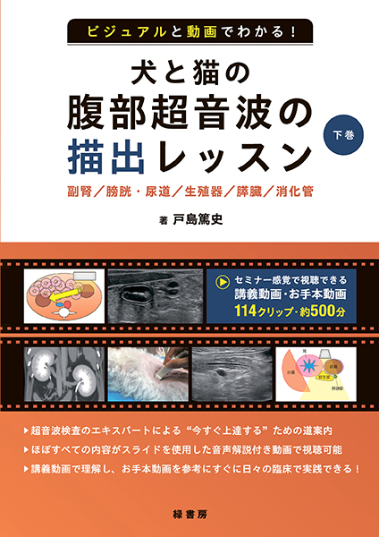 ビジュアルと動画でわかる！ 犬と猫の腹部超音波の描出レッスン 下巻