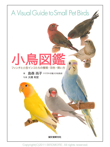 9993280【誠文堂新光社】小鳥図鑑 鳥専門店 BIRD MORE