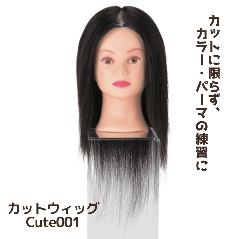 美容師実技試験レイヤーカット用モデル12体 【公式通販】