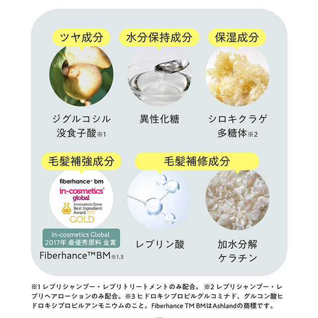 レブリシリーズ3点セット（シャンプー、トリートメント、ヘアー