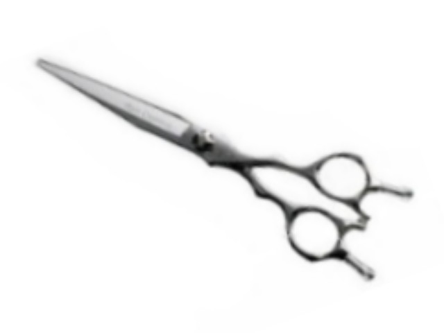 ヒカリ RYU COSMOS 173 174（龍コスモス） ハサミ屋はやし