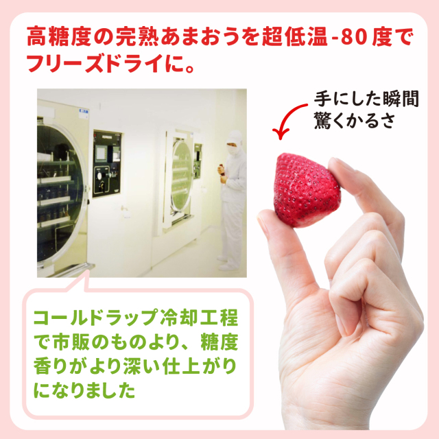 VIPボックス赤 フリーズドライあまおうセット (20g×3袋)