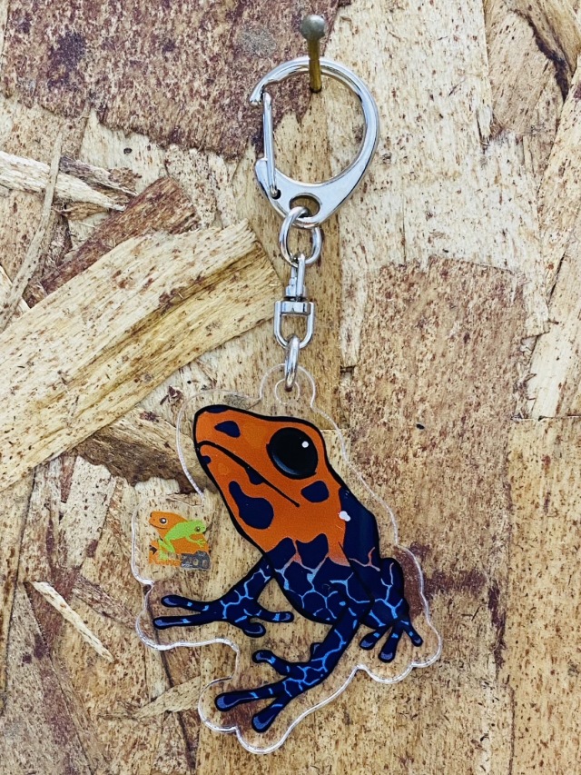 KawaZooオリジナル アクリルキーホルダー ズアカヤドクガエル