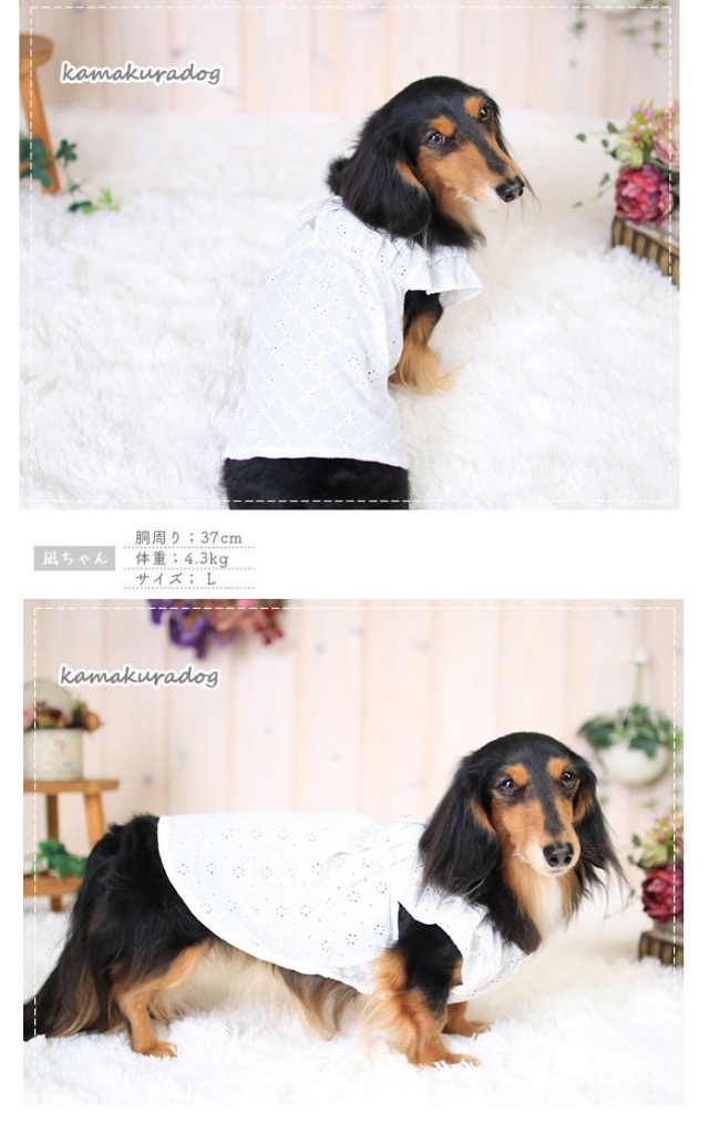 t1107c.jpg?t=20230307120104