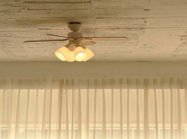 plus moreシーリングファン Windouble (ウィンダブル) 4灯｜北欧