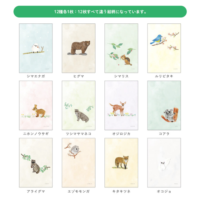 KHS-03：季節のはがき箋 12種各1枚セット 森のどうぶつ〔OZ〕