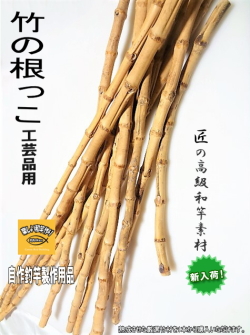 竹の根っこ各種サイズ火入れ乾燥済！釣竿グリップ・工芸品の製作用