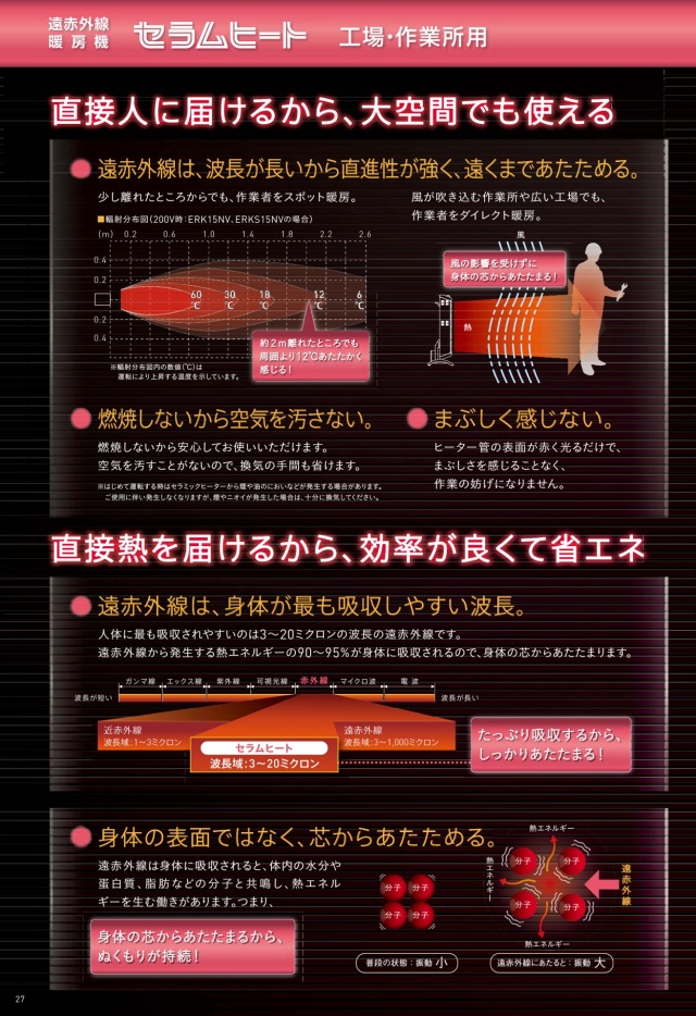 ヒーター ダイキン 遠赤外線ヒーター セラムヒート ERK10NS 単相100V