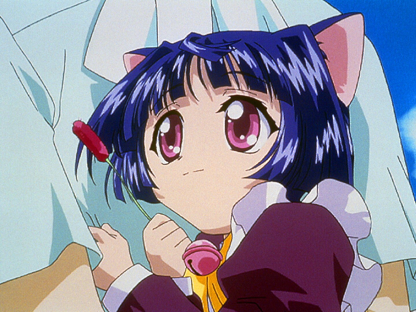 159001a.jpg?impolicy=fitin&ww=