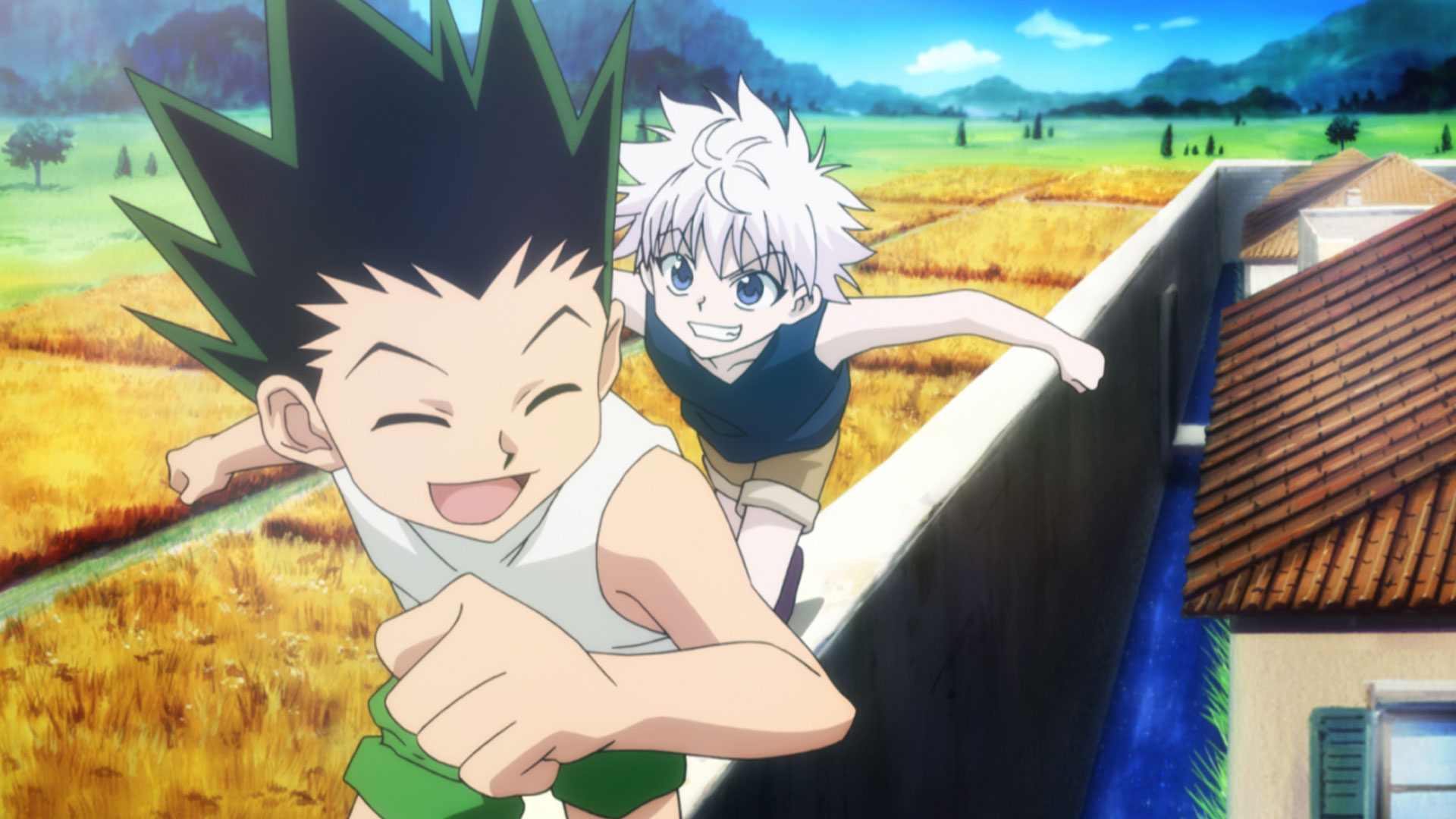 Hunter×Hunter ハンターハンター1〜37巻 ゴン キルア クラピカ HUNTER