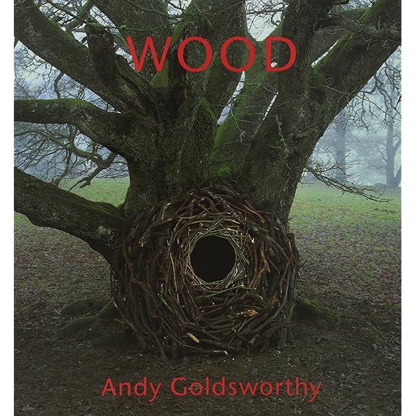 Amazon | Andy Goldsworthy: A Collaboration with Nature