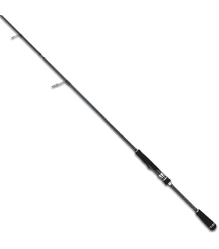 Amazon | ダイワ(DAIWA) ボートシーバスロッド ラテオ BS 72MHS 釣り竿