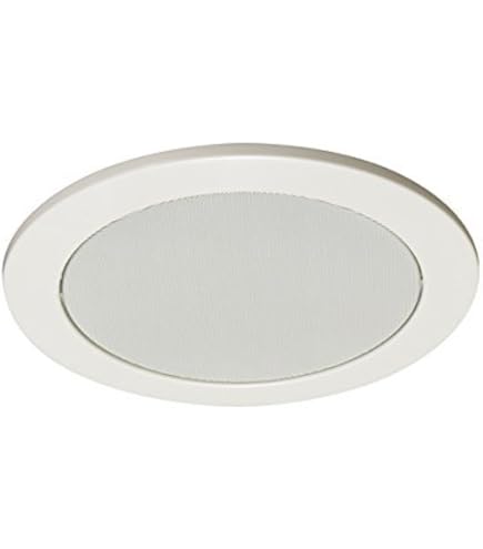 Amazon.co.jp: TOA (ティーオーエー) 天井スピーカーパネル CP-233A