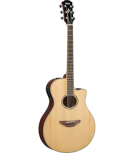 Amazon | Art & Lutherie (アートアンドルシアー) エレアコギター