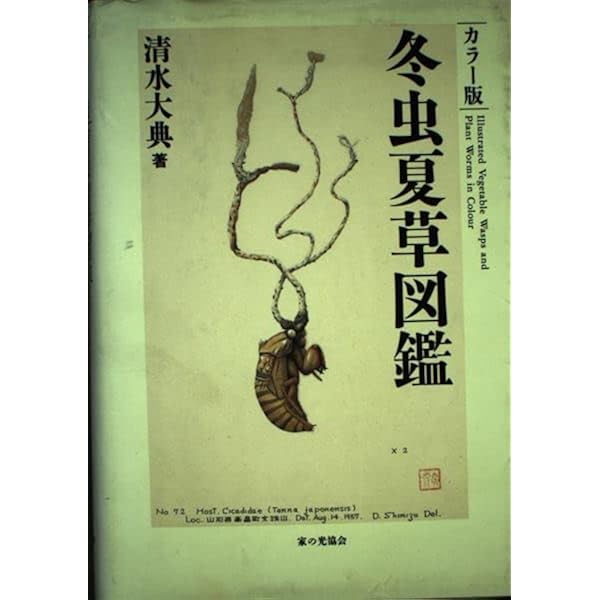 Amazon.co.jp: 冬虫夏草生態図鑑: 採集・観察・分類・同定、効能から
