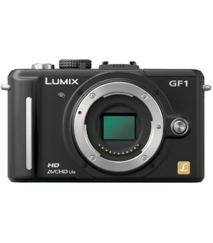 Amazon.co.jp: パナソニック ミラーレス一眼カメラ GF1 レンズキット