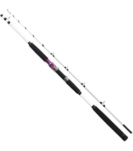 Amazon | ダイワ(DAIWA) 船竿 メタリア イカ直結 150 釣り竿 | ダイワ