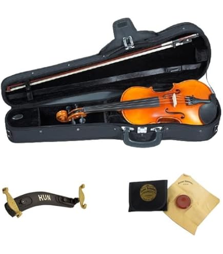 Amazon | EASTMAN VL80ｾｯﾄ 4/4 バイオリンセット (イーストマン