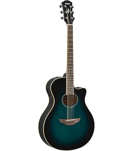 Amazon.co.jp: TAKAMINE P3FCN NS エレガットギター : 楽器・音響機器