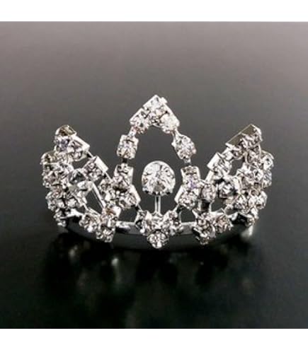 Amazon.co.jp: 超特急 リョウガ 生誕 ティアラ with リョウガ