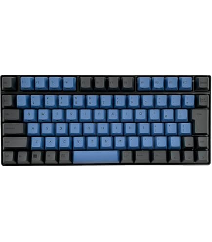 Amazon.co.jp: REALFORCE R3 R3S キーボード 対応 キーキャップ セット