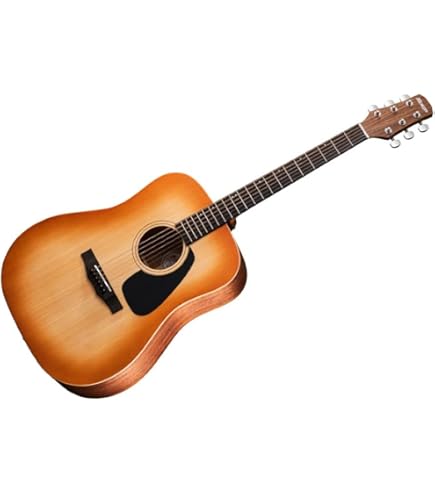 Amazon | MORRIS M-350 LH TS 左利き用 アコースティックギター