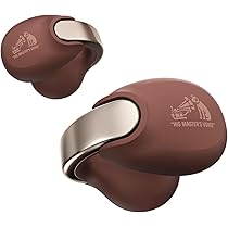 Amazon.co.jp: JVCケンウッド Victor HA-NP1T-T ワイヤレスイヤホン