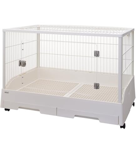 Amazon | ジェックス ラビんぐ フラットフロア70 ネザーランドドワーフ