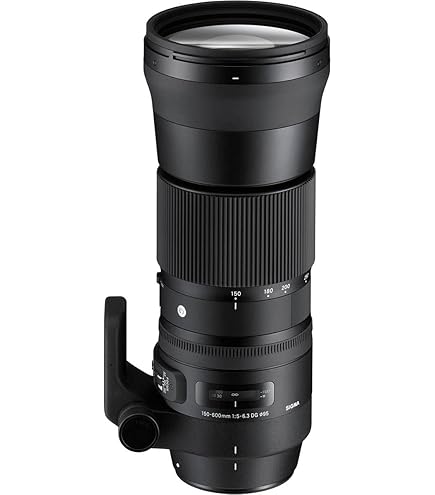 Amazon.co.jp: シグマ 170-500mm F5-6.3 APO DG ソニー用 : 家電＆カメラ