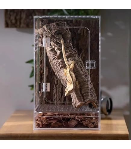 Amazon | ジェックス GEX EXOTERRA グラステラリウム3045 PT2602