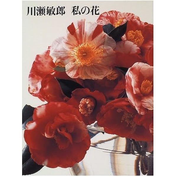 花は野にあるように: なげいれのすすめ | 川瀬 敏郎 |本 | 通販 | Amazon