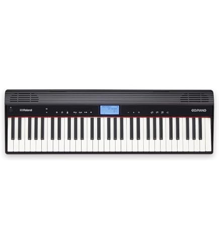 Amazon.co.jp: YAMAHA 電子キーボード piaggero(ピアジェーロ