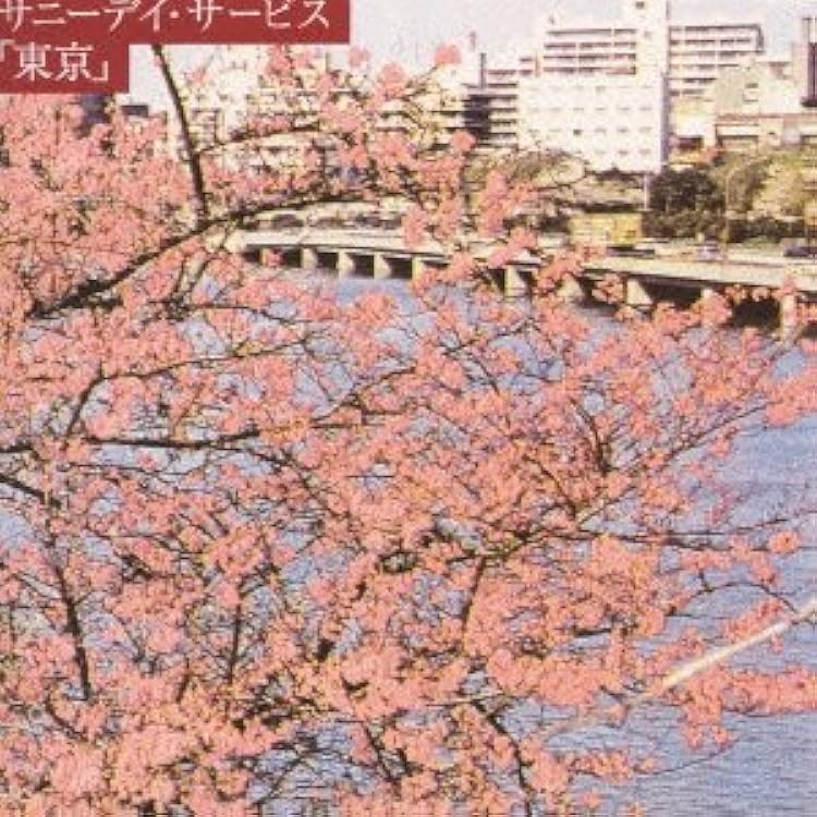 Amazon.co.jp: 愛と笑いの夜 - サニーデイ・サービス: ミュージック