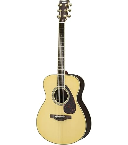 Amazon | James J-450D/Ova Black アコースティックギター エレアコ