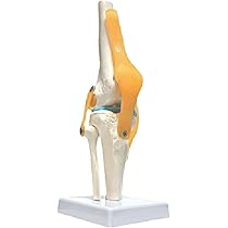 51tIj07oa4L._AC_UL210_SR210,