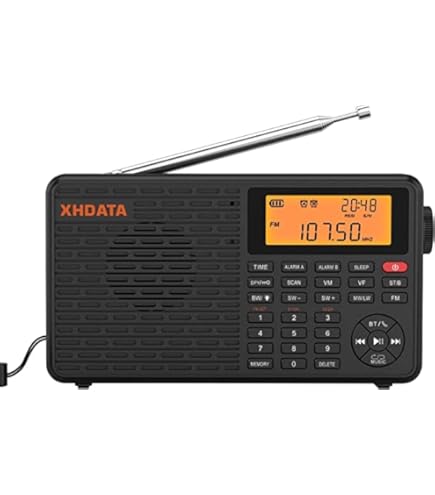 Amazon.co.jp: SONY ICF-SW7600GR FMラジオ : 家電＆カメラ