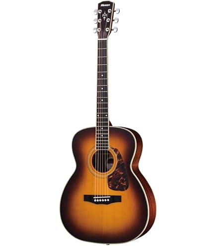 Amazon.co.jp: Morris モーリス Perfomers Edition F-021 RBS