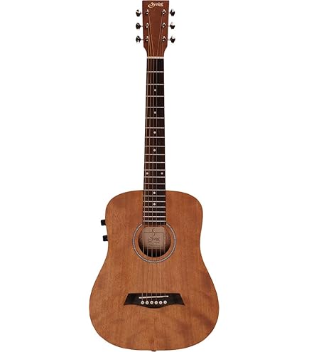Amazon.co.jp: TAKAMINE P3FCN NS エレガットギター : 楽器・音響機器