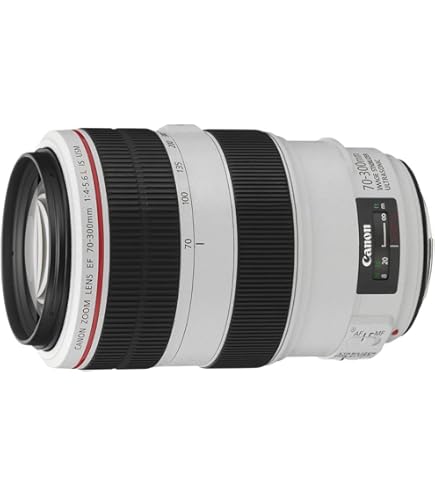 Amazon.co.jp: Canon EF 90-300mm F4.5-5.6 USM : 家電＆カメラ